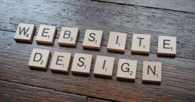 Small Business Web Design and Management: Building a Strong Online Presence That Converts